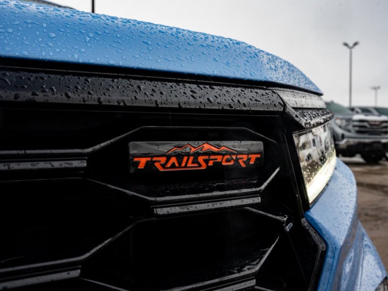 2025 Honda Pilot TrailSport Photo