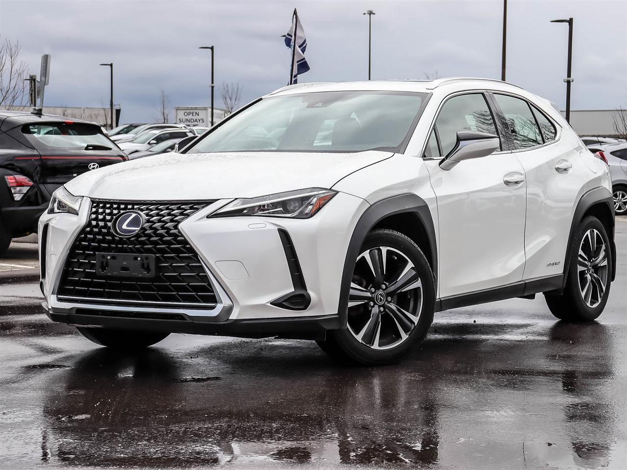 2021 Lexus UX UX 250H Photo