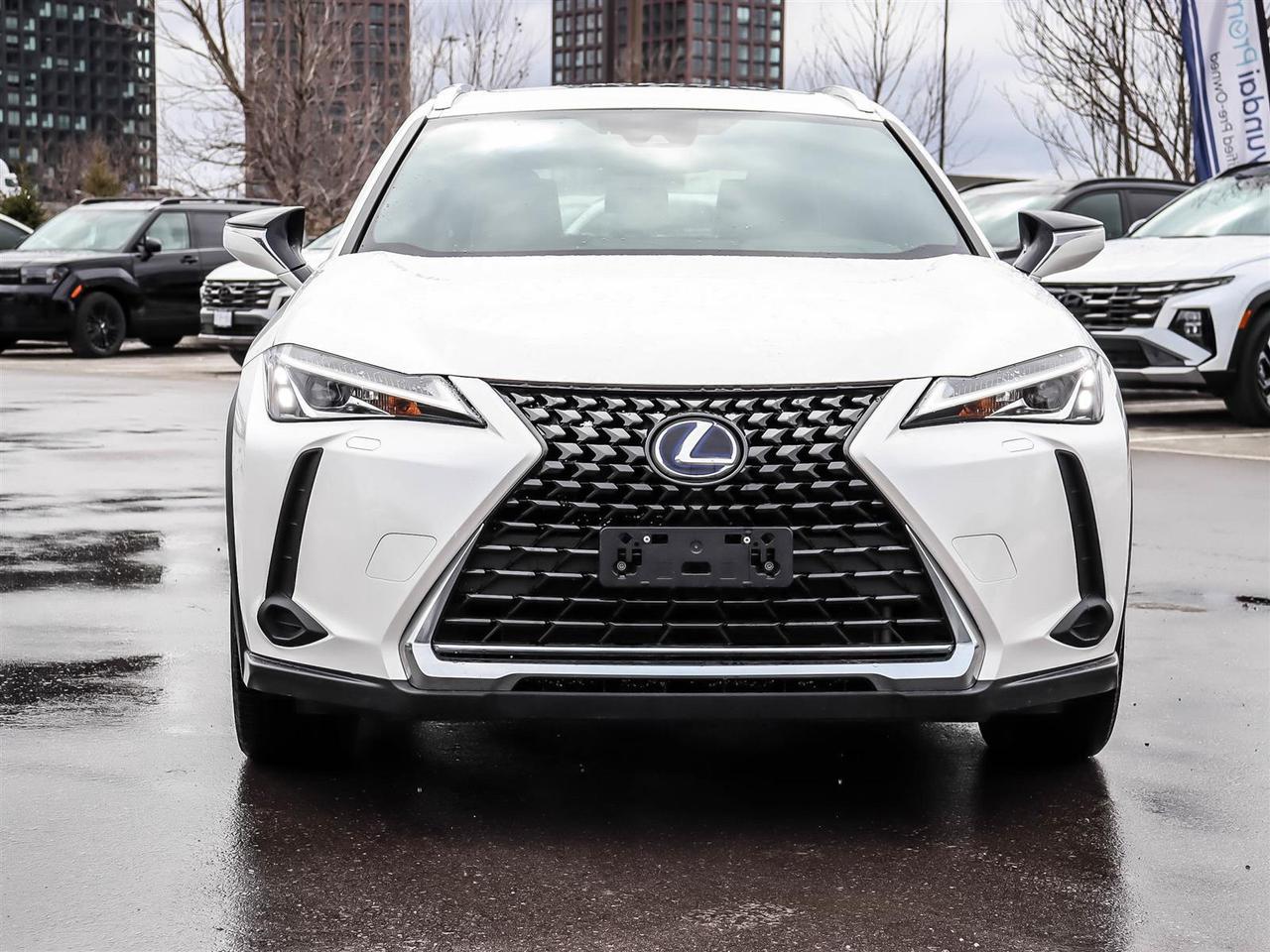 2021 Lexus UX UX 250H Photo
