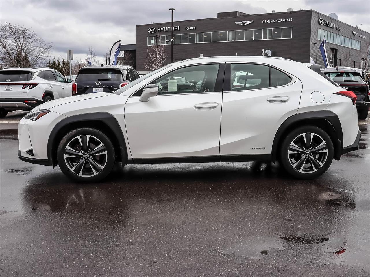 2021 Lexus UX UX 250H Photo