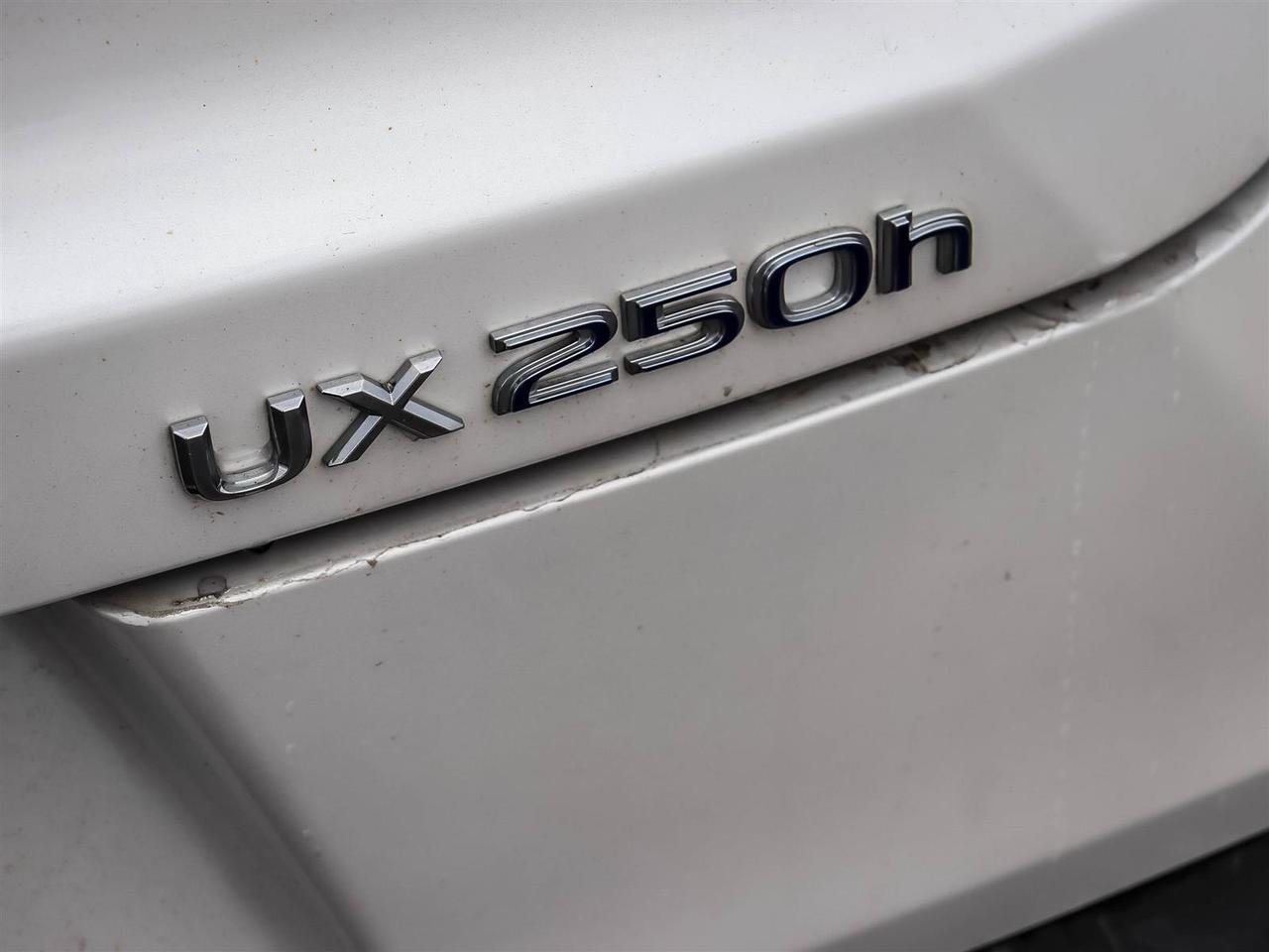 2021 Lexus UX UX 250H Photo