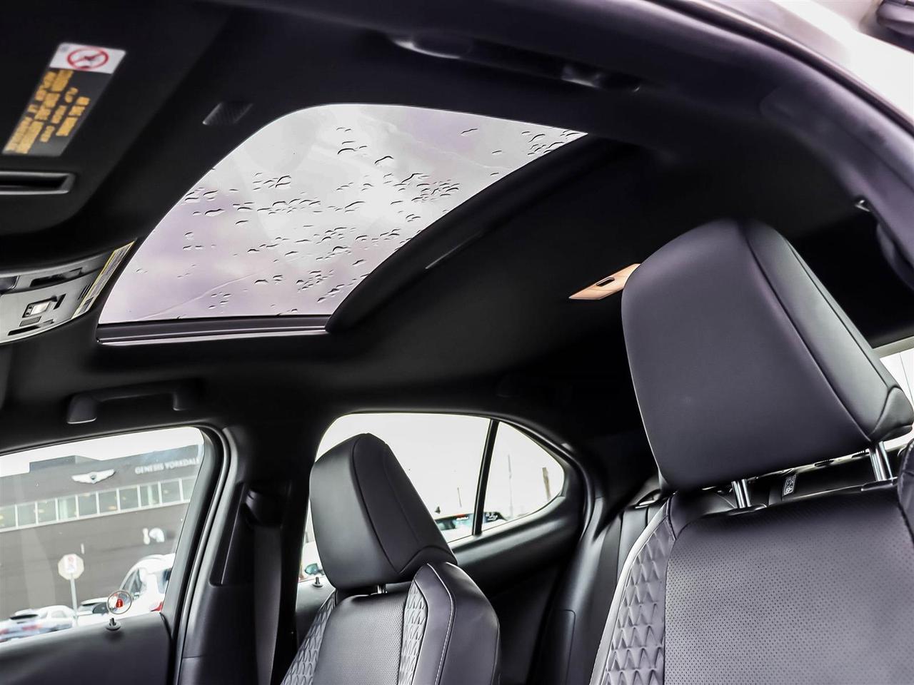 2021 Lexus UX UX 250H Photo