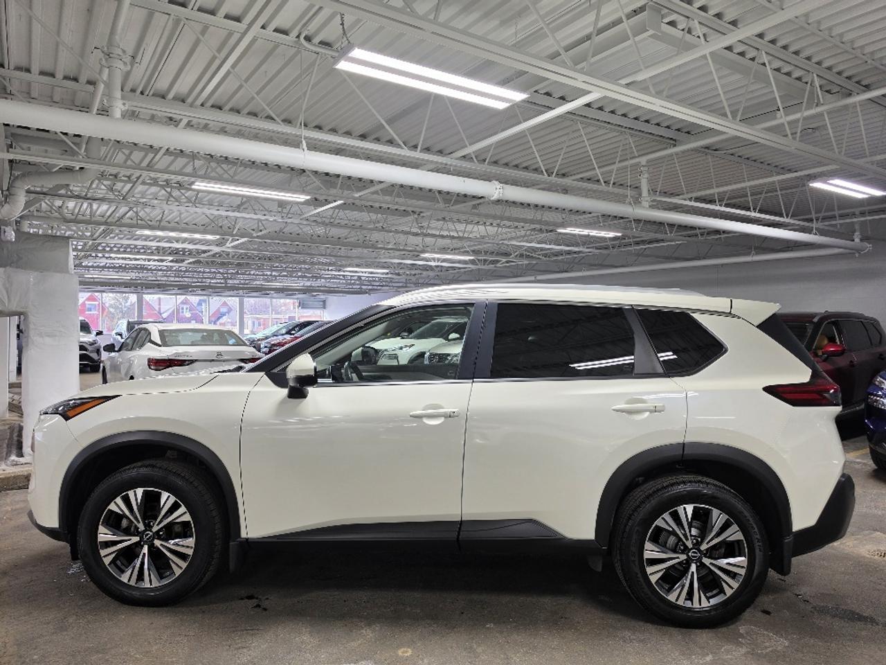 2022 Nissan Rogue SV PREMIUM, PRIMA-TEX, 360 CAM, PRO-PILOT, 19" AL Photo