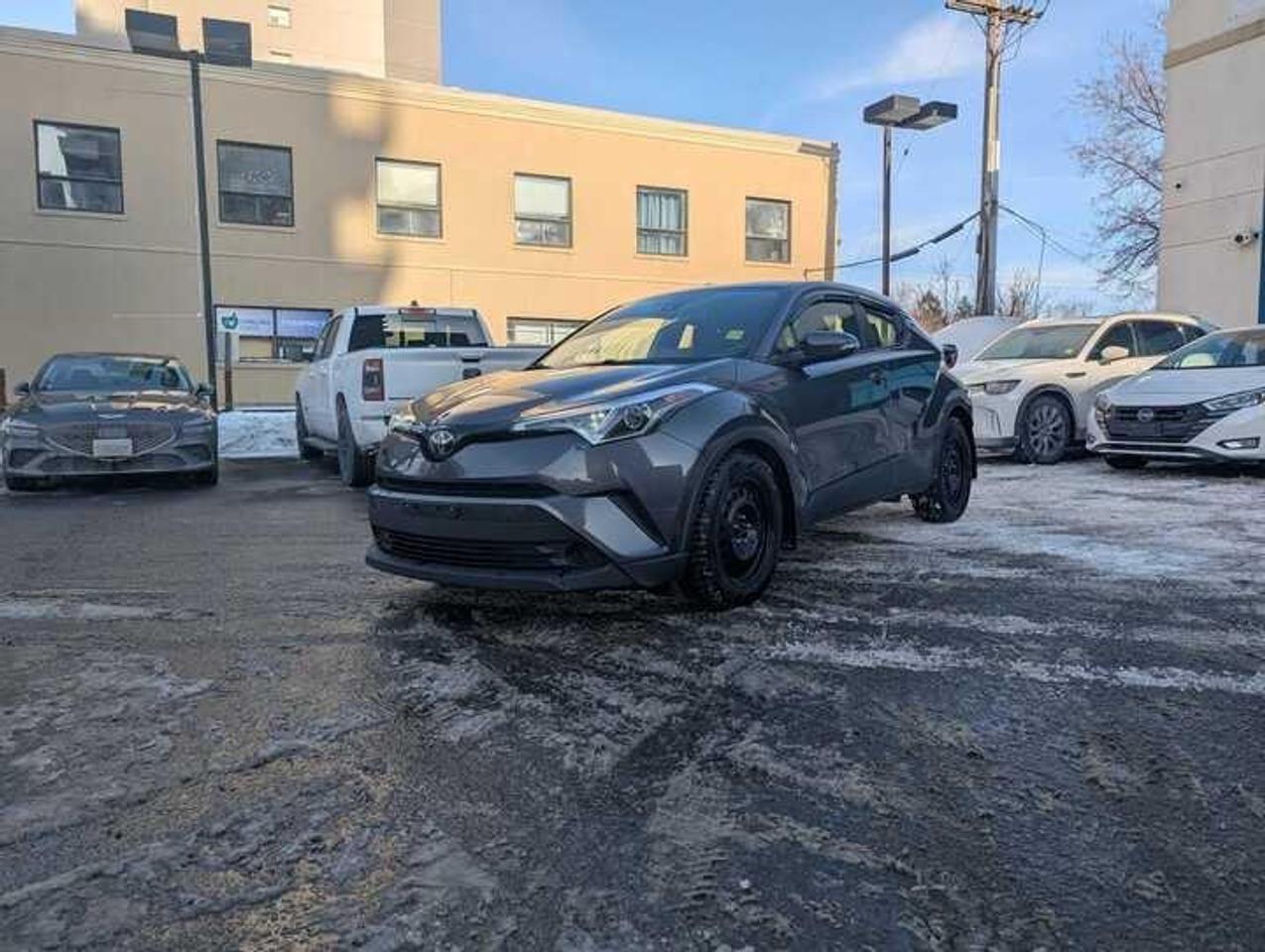 2019 Toyota C-HR  Photo