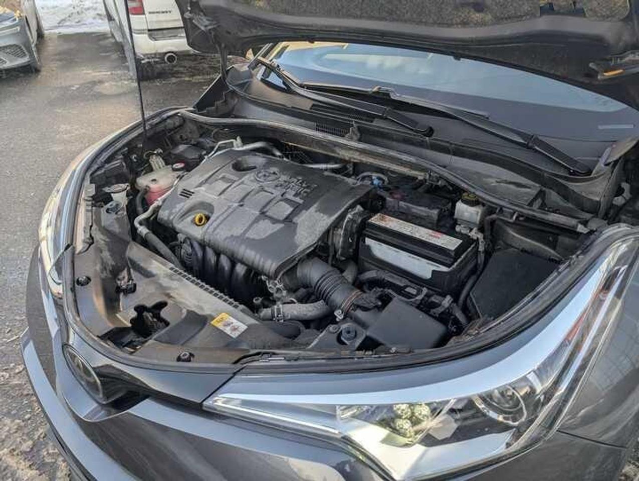 2019 Toyota C-HR  Photo