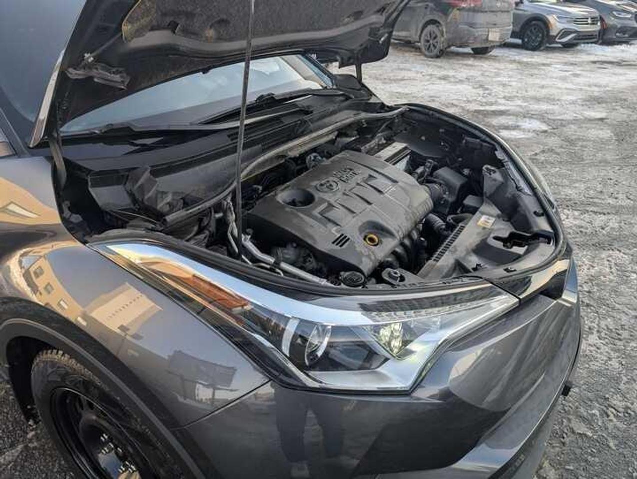 2019 Toyota C-HR  Photo