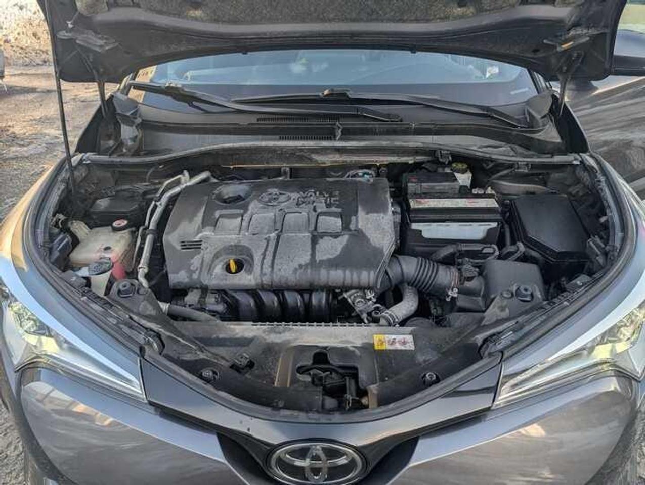 2019 Toyota C-HR  Photo