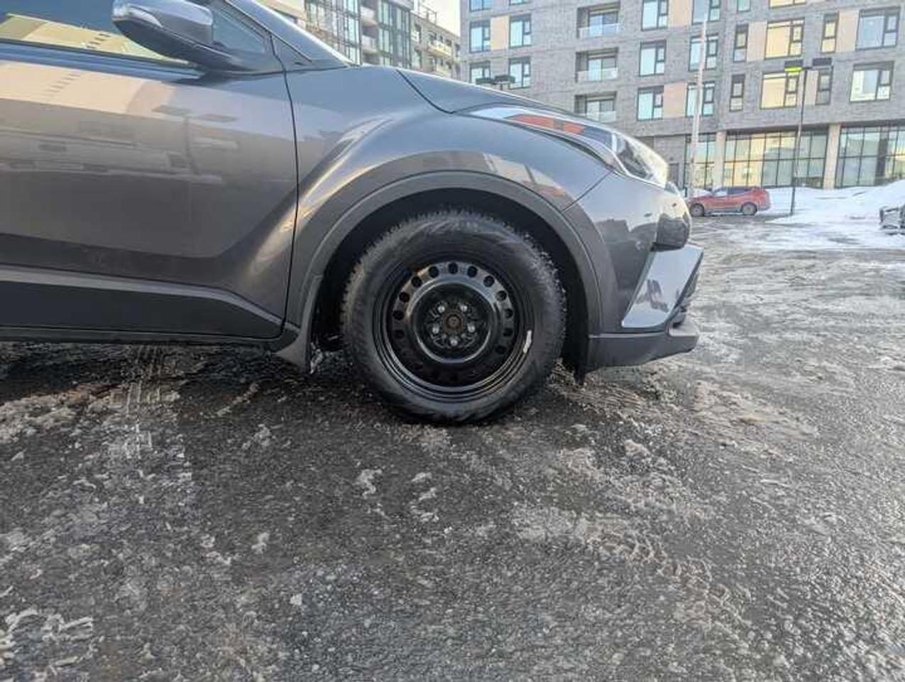 2019 Toyota C-HR  Photo