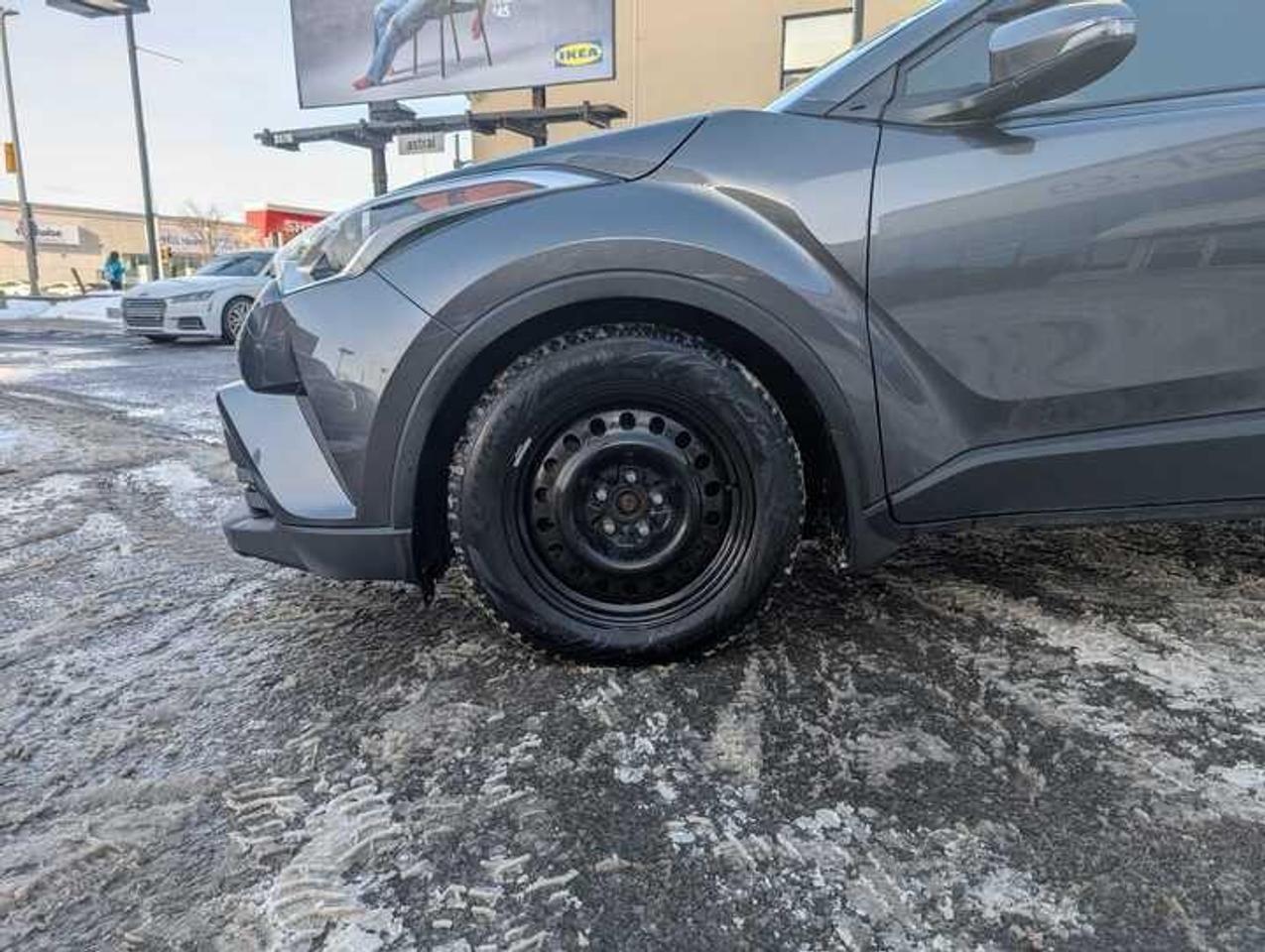 2019 Toyota C-HR  Photo