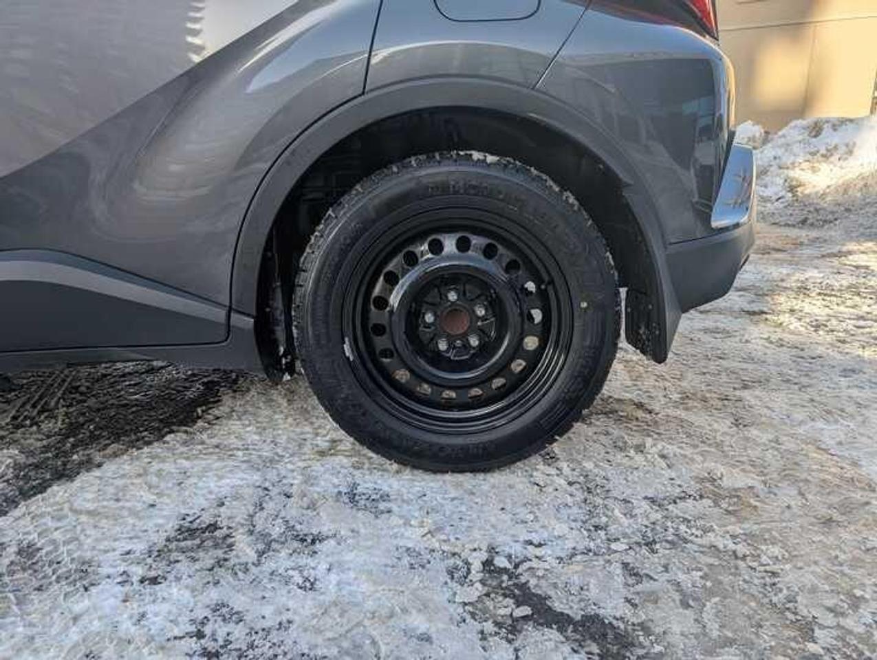 2019 Toyota C-HR  Photo