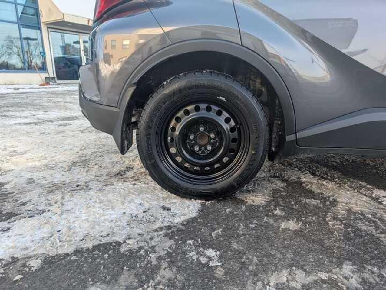 2019 Toyota C-HR  Photo