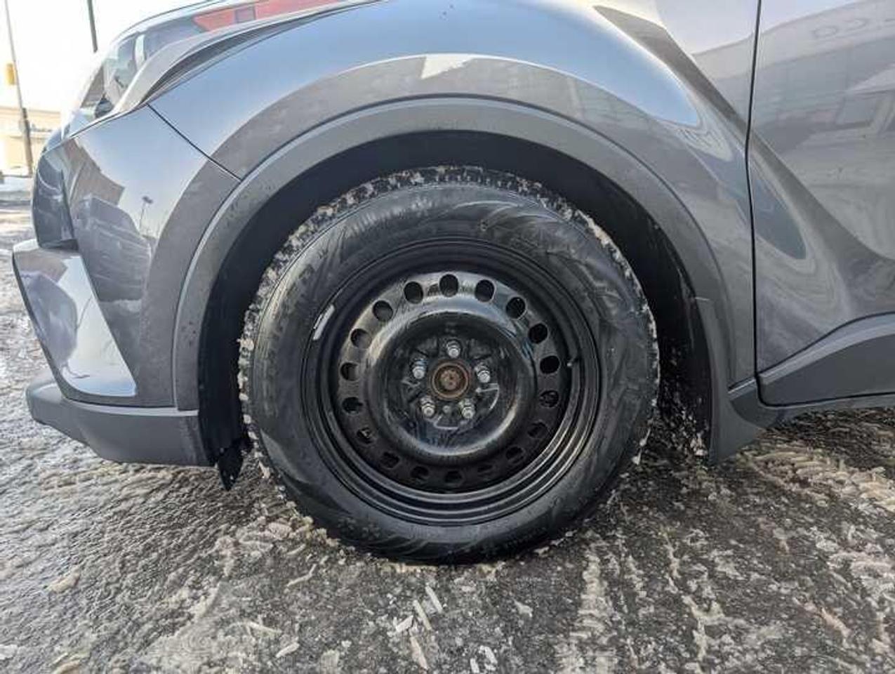 2019 Toyota C-HR  Photo