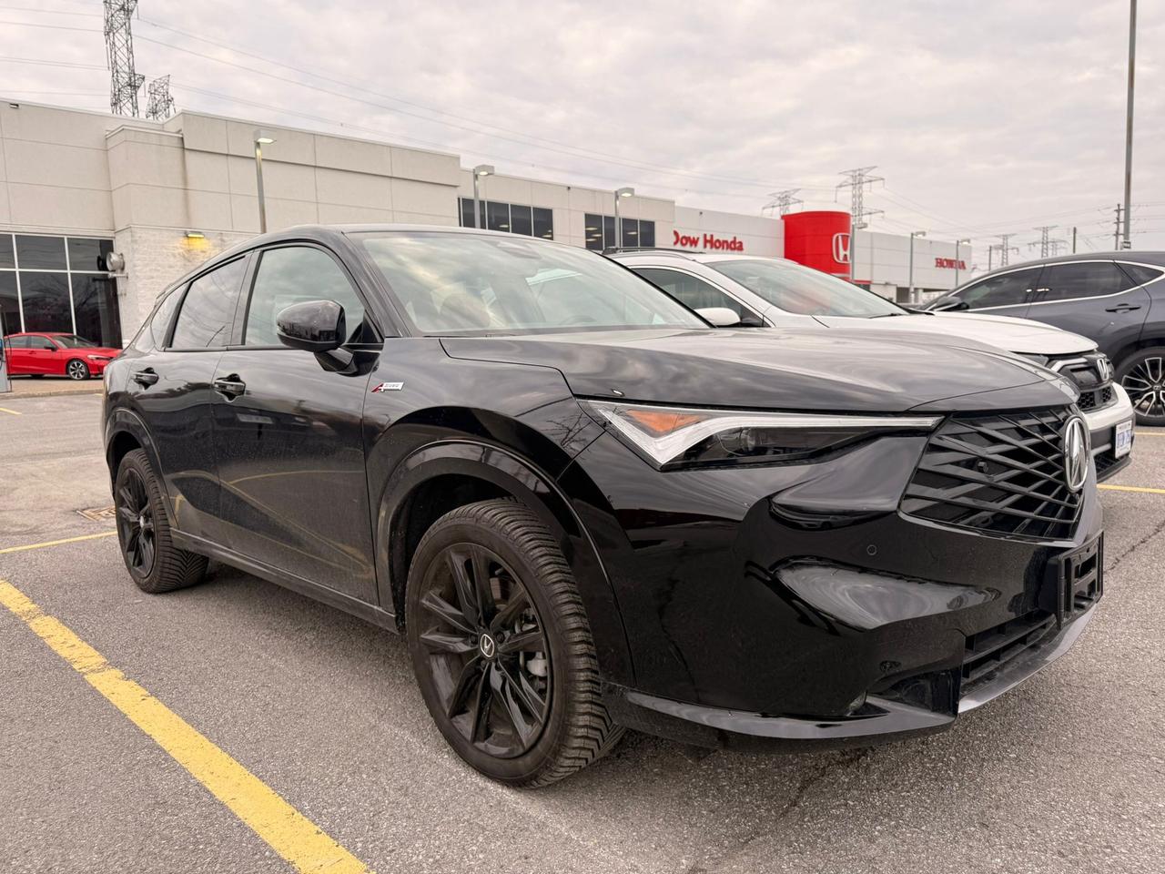 2025 Acura ADX Platinum Elite A-Spec 4dr All-Wheel Drive Photo