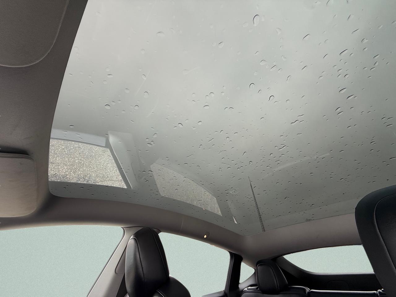 2021 Tesla Model Y Long Range 4dr All-Wheel Drive Sport Utility Photo
