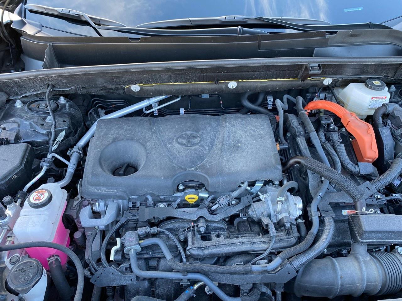 2023 Toyota Venza  Photo