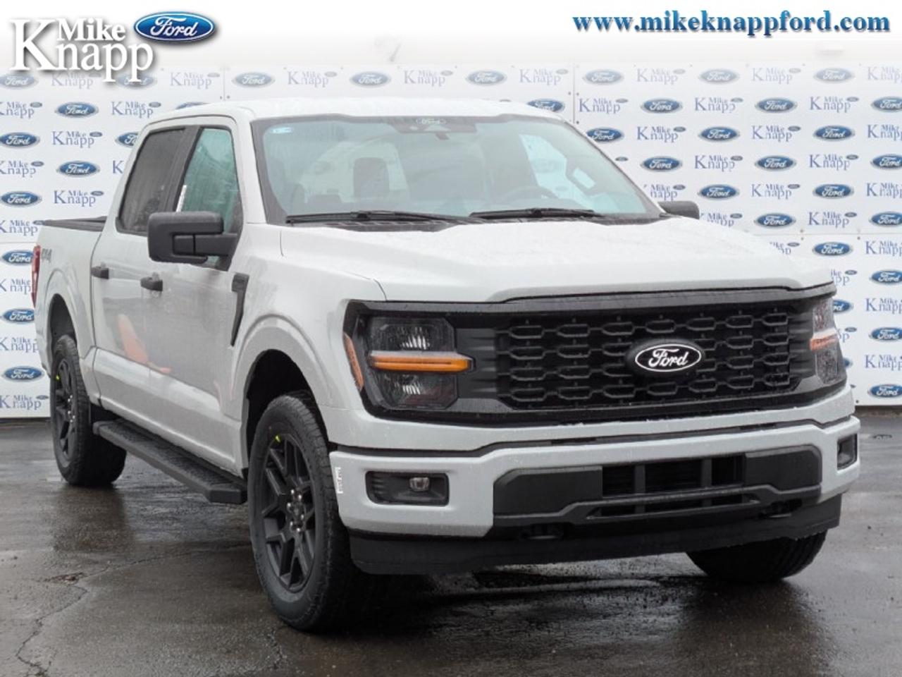 2026 Ford F-150 STX Photo