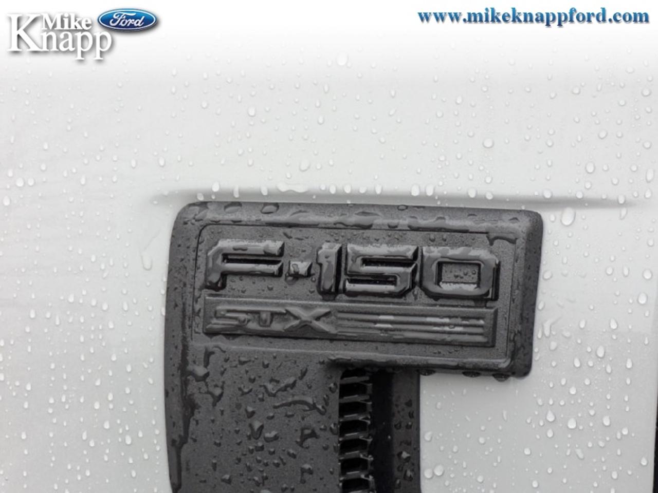 2026 Ford F-150 STX Photo