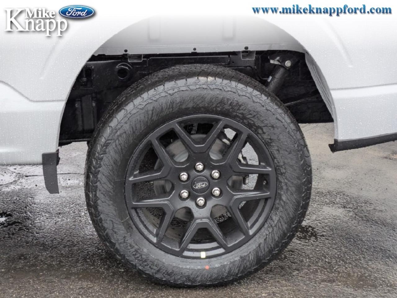 2026 Ford F-150 STX Photo