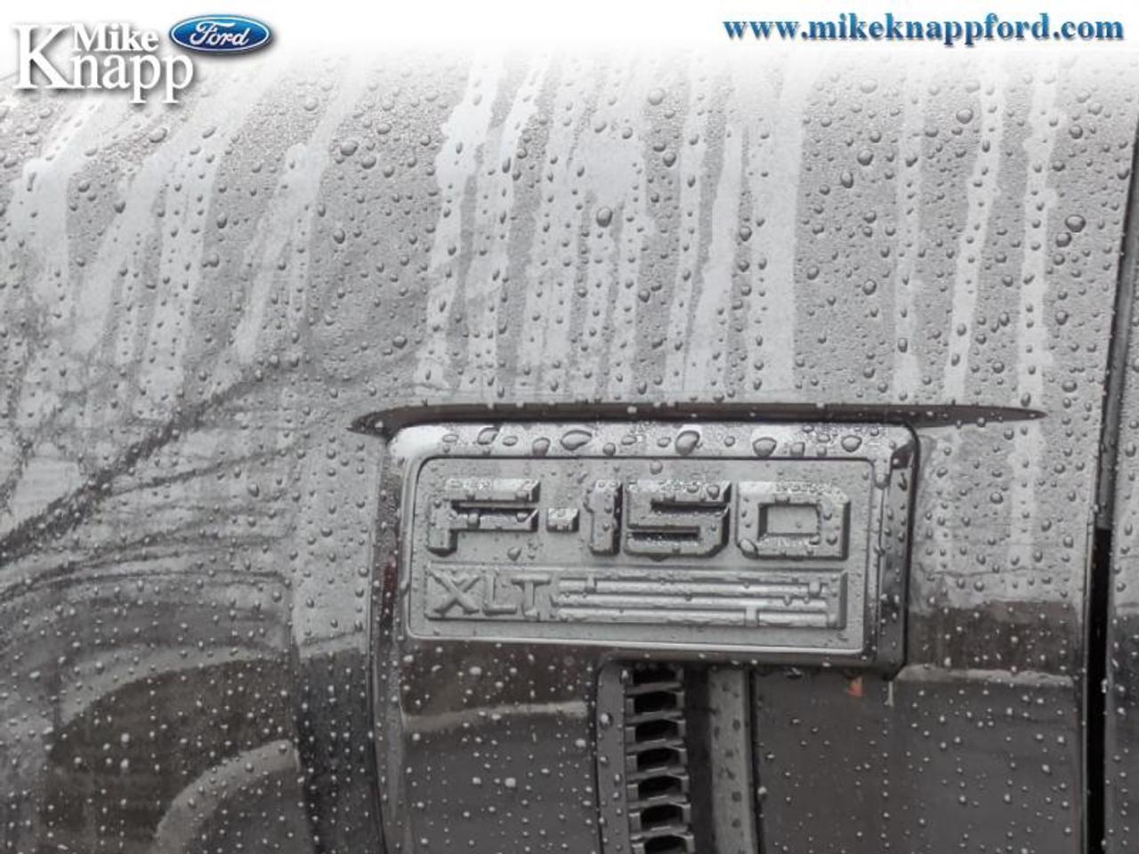 2026 Ford F-150 XLT Photo