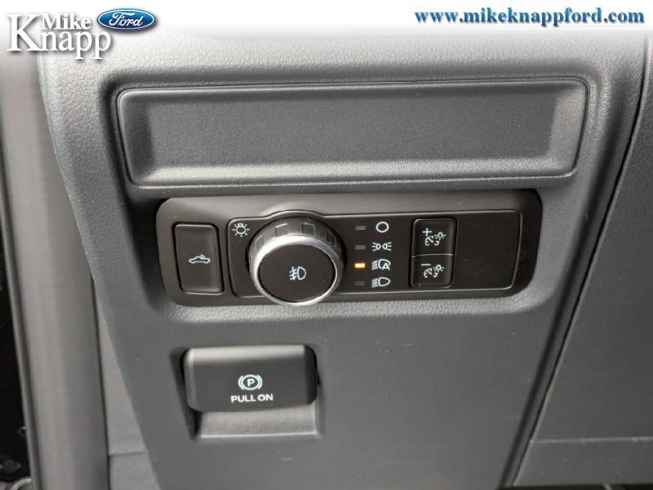 2026 Ford F-150 XLT Photo