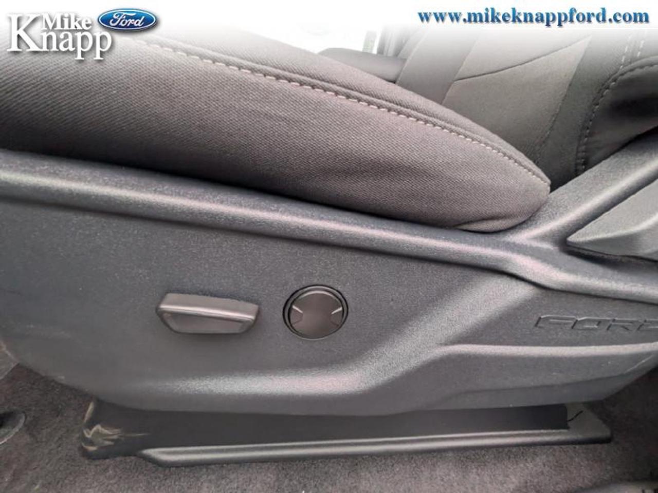 2026 Ford F-150 XLT Photo