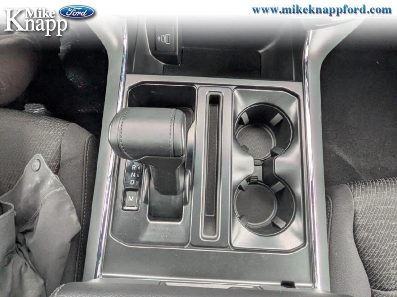 2026 Ford F-150 XLT Photo