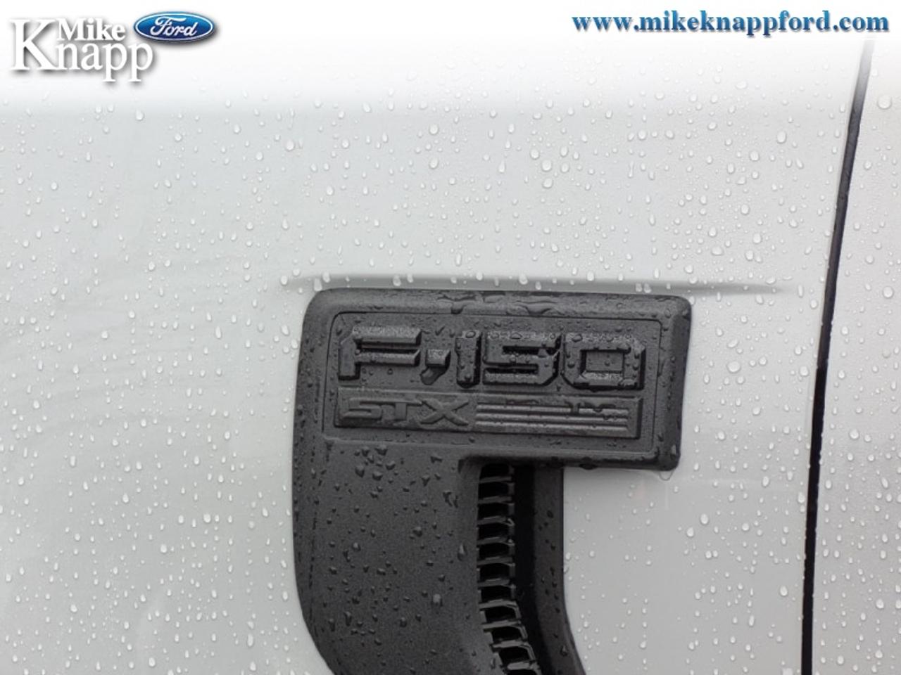 2026 Ford F-150 STX Photo