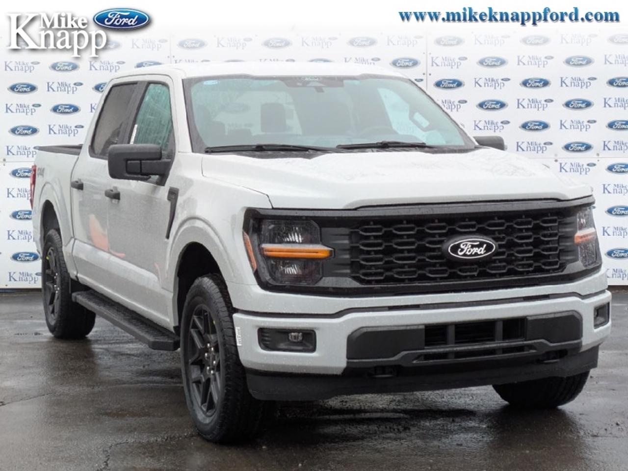 2026 Ford F-150 STX Photo