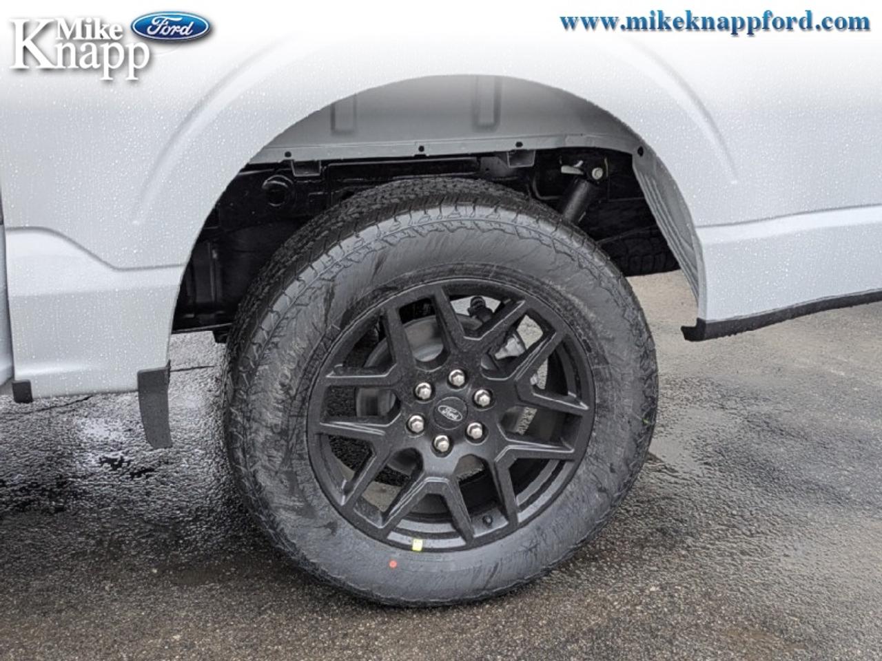 2026 Ford F-150 STX Photo