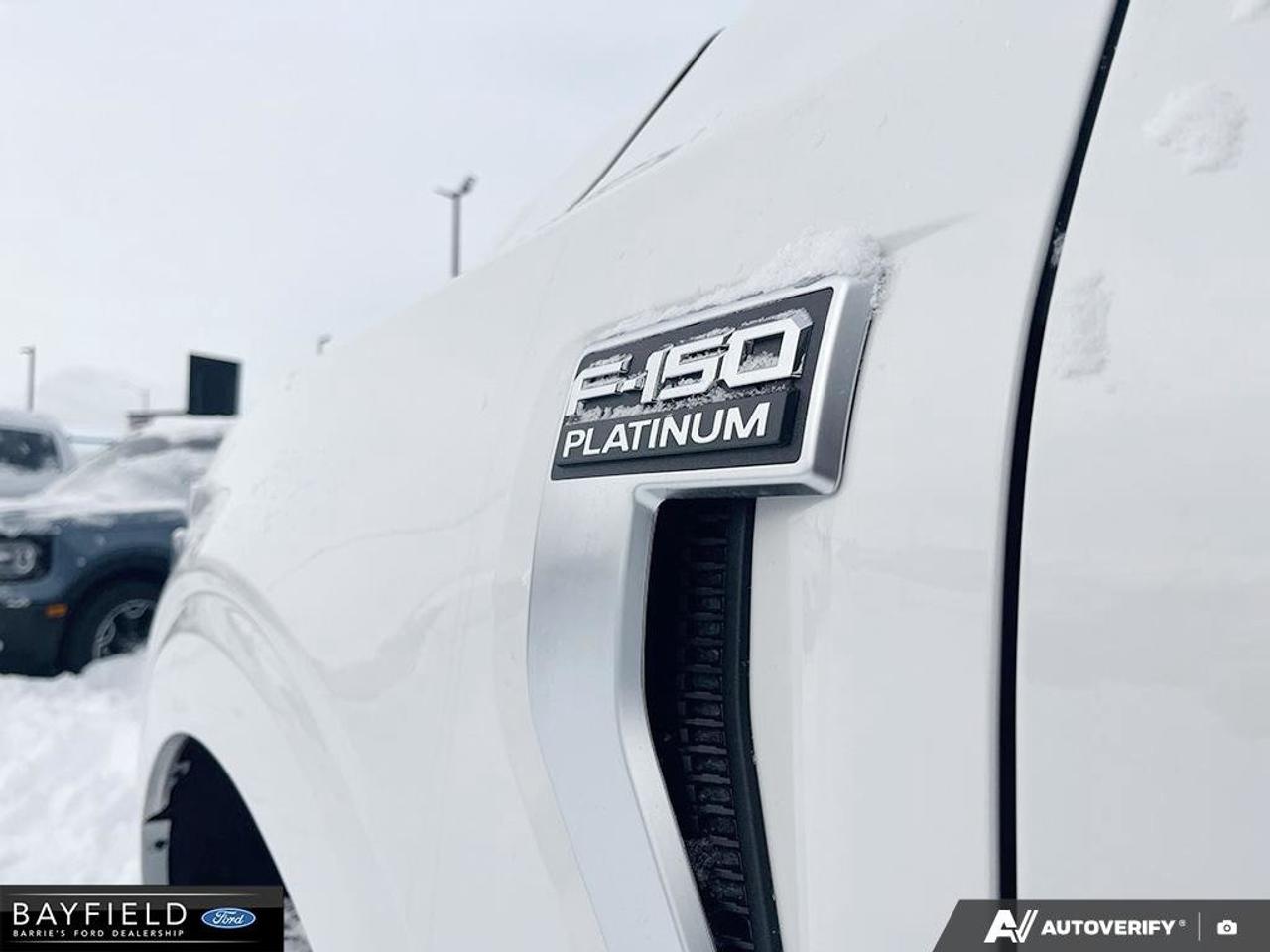 2025 Ford F-150 Platinum Photo