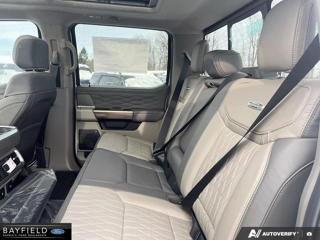 2025 Ford F-150 Platinum Photo