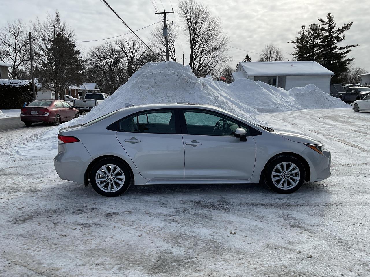 2024 Toyota Corolla  Photo