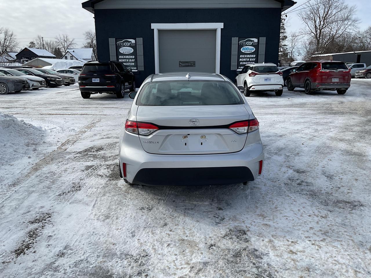 2024 Toyota Corolla  Photo