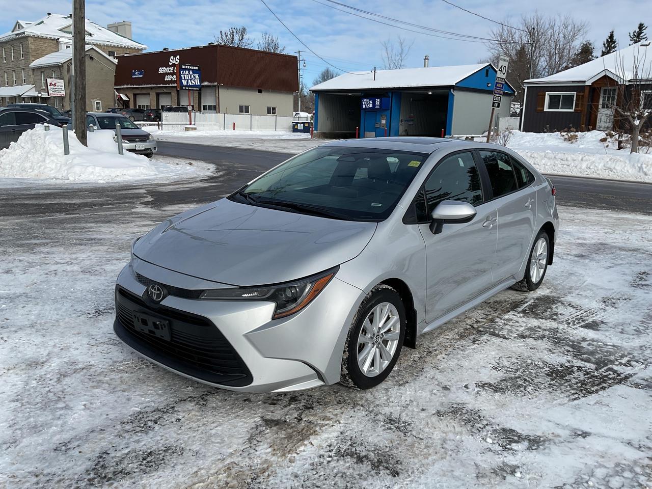 2024 Toyota Corolla  Photo