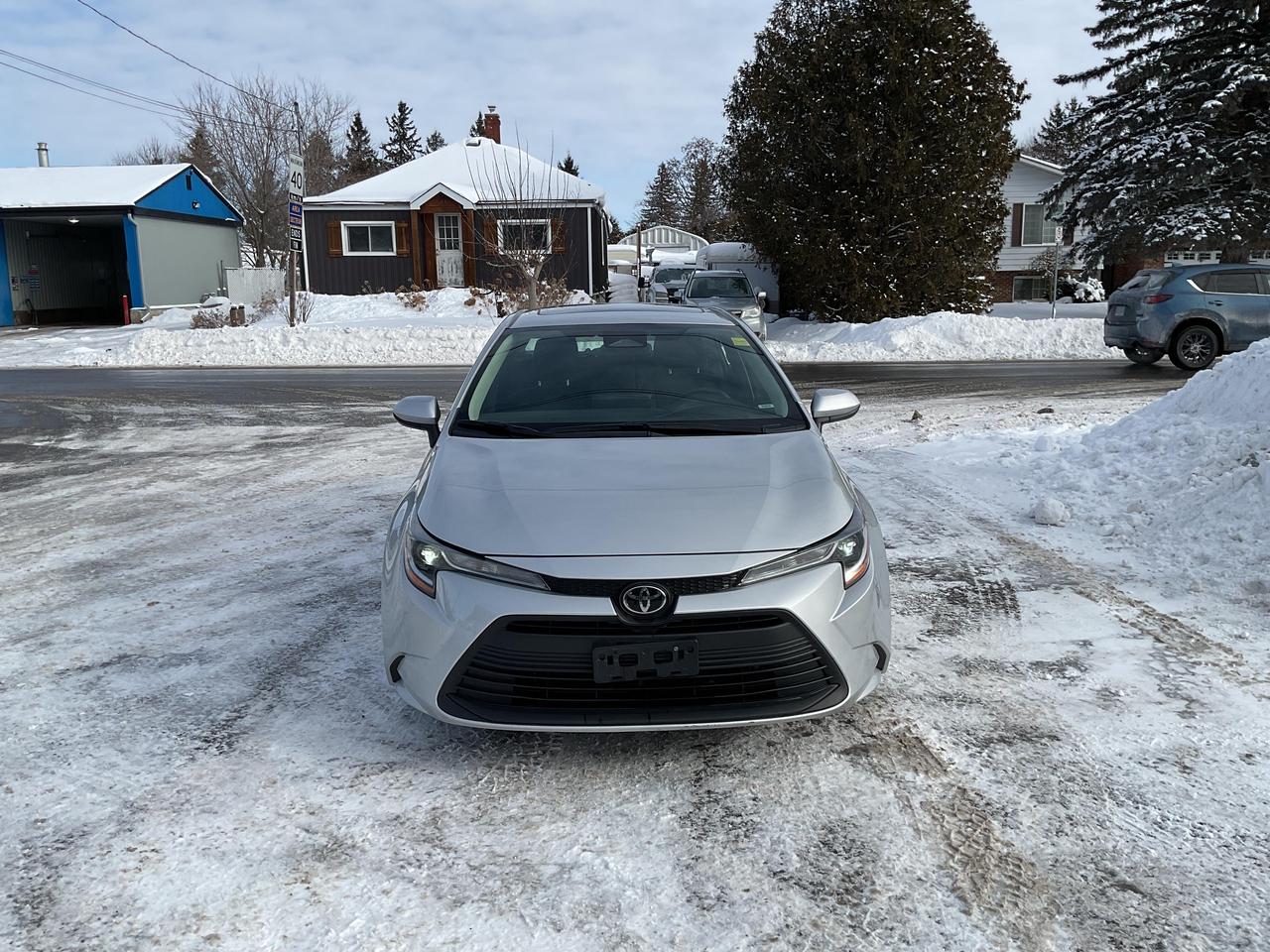 2024 Toyota Corolla  Photo