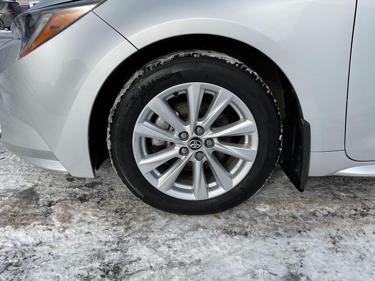 2024 Toyota Corolla  Photo