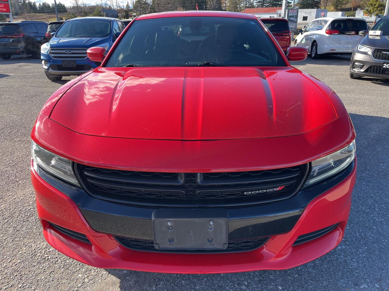 2019 Dodge Charger SXT - Sunroof - Htd/Vtd Leather - AWD Photo