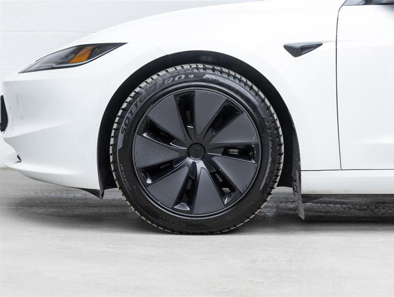 2025 Tesla Model 3  Photo