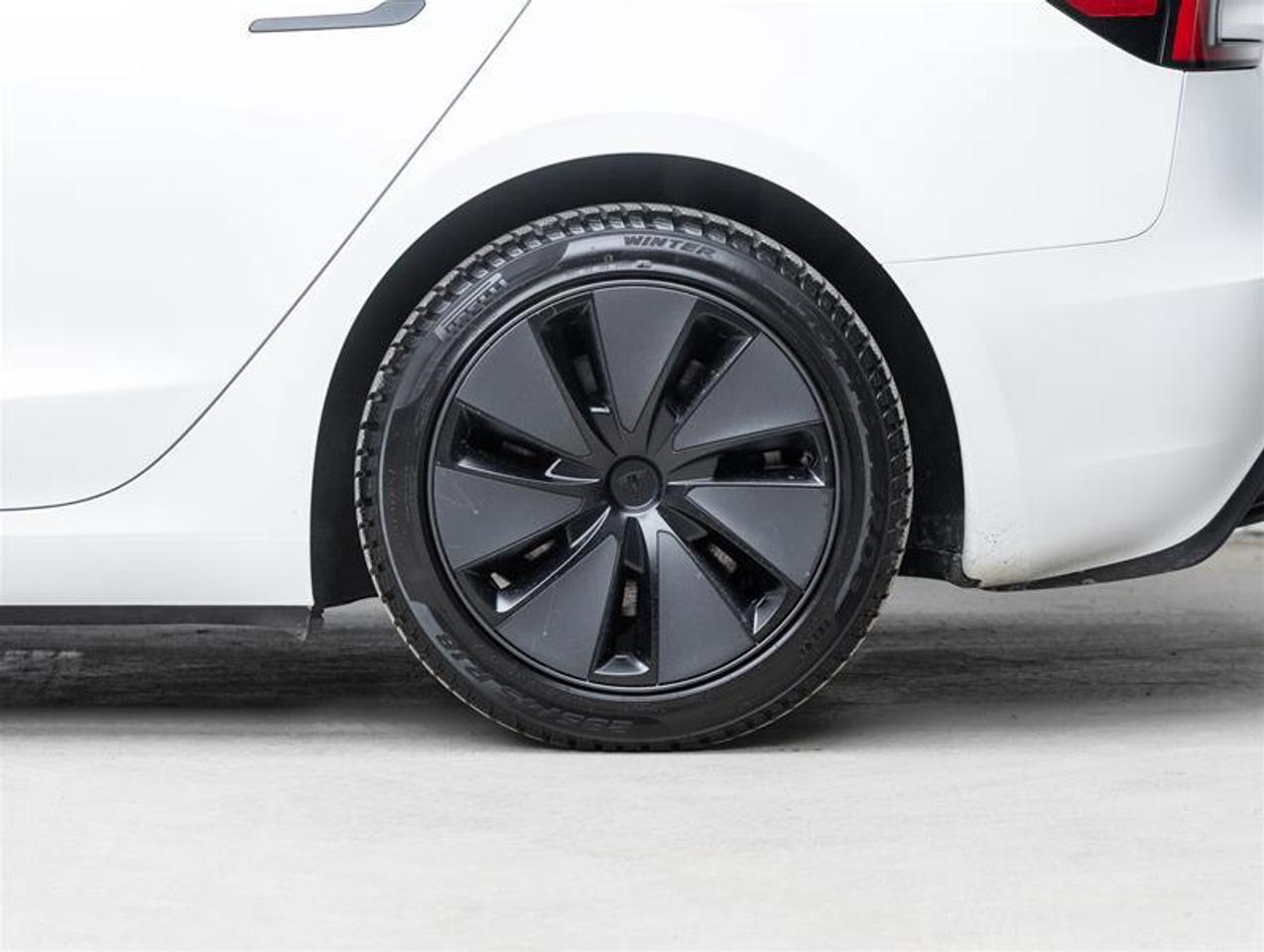 2025 Tesla Model 3  Photo