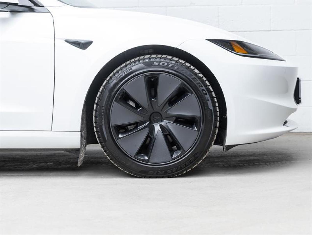 2025 Tesla Model 3  Photo