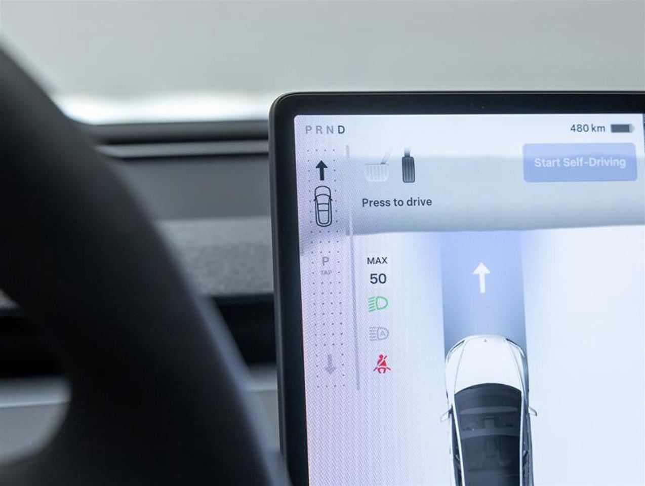 2025 Tesla Model 3  Photo