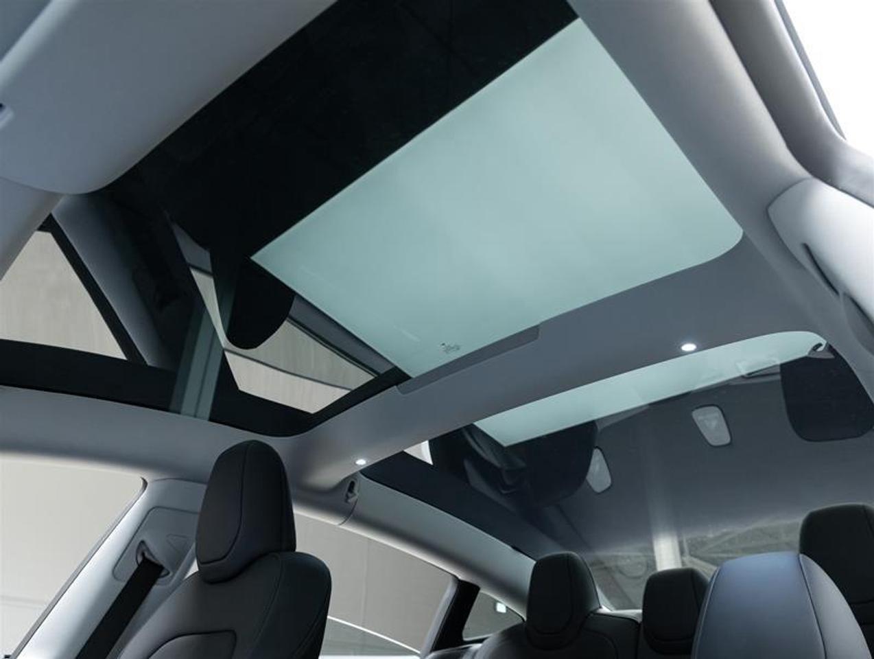 2025 Tesla Model 3  Photo