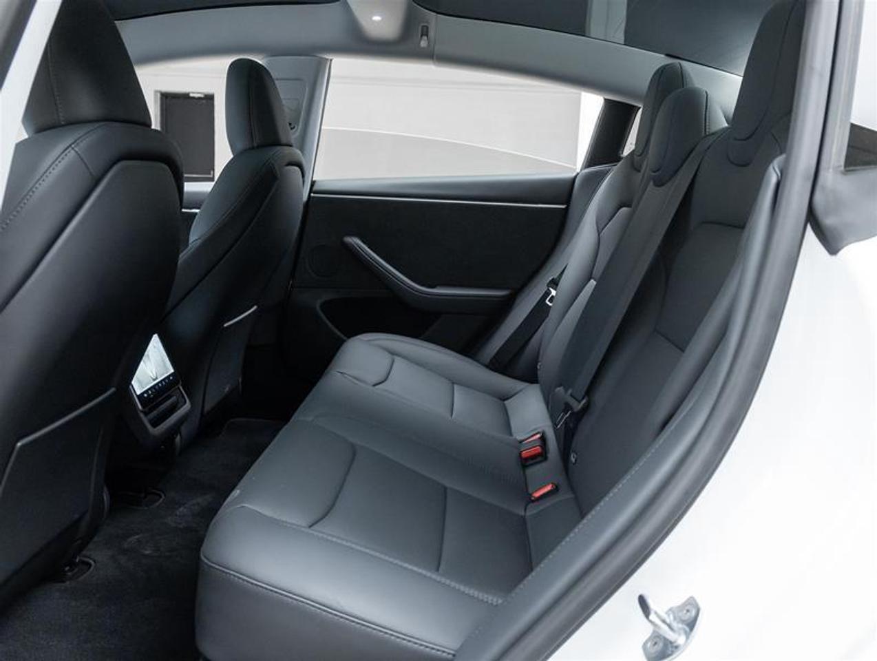 2025 Tesla Model 3  Photo