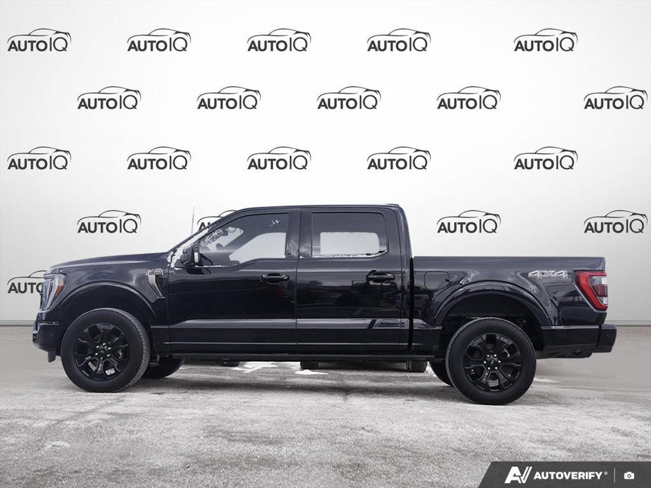 2023 Ford F-150 Platinum CLASS IV TRAILER HITCH RECEIVER | PRO TRAILER BACK Photo