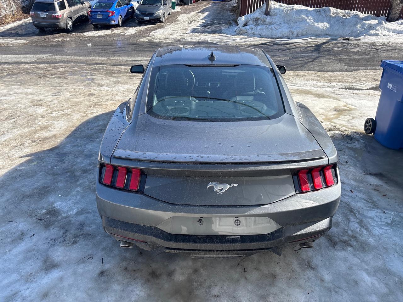 2025 Ford Mustang EcoBoost Premium ECOBOOST PREMIUM Photo