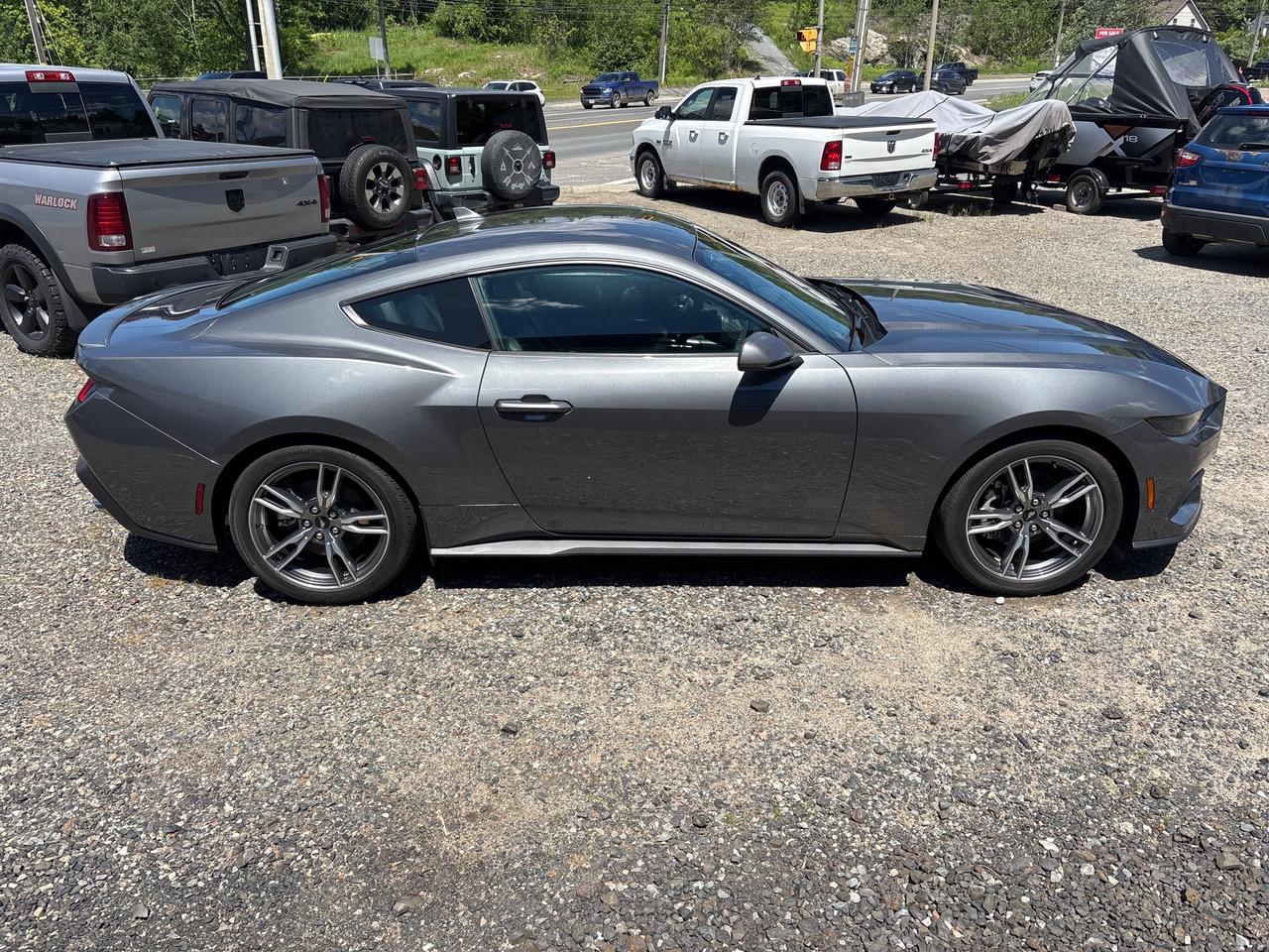 2025 Ford Mustang EcoBoost Premium ECOBOOST PREMIUM Photo