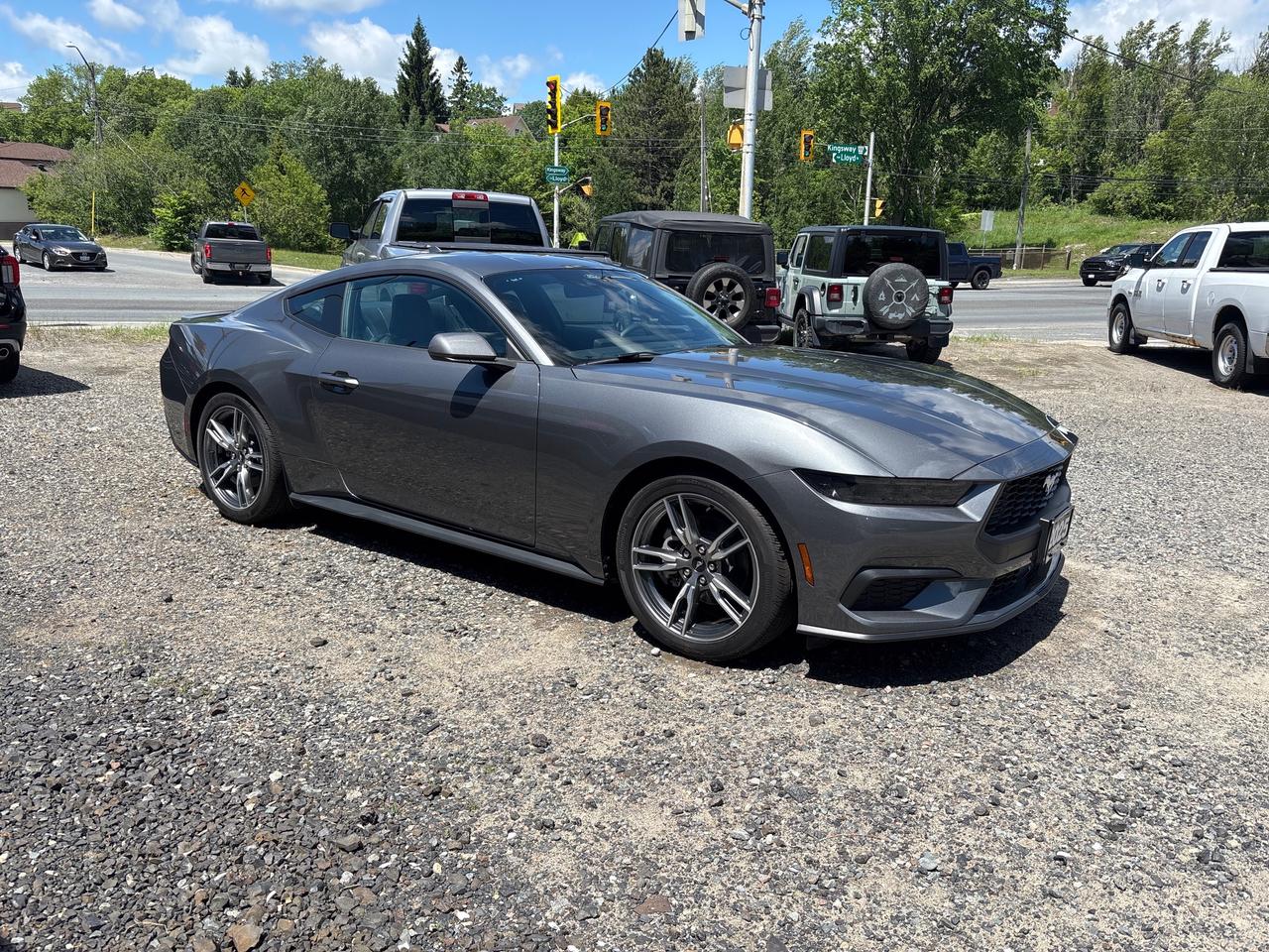 2025 Ford Mustang EcoBoost Premium ECOBOOST PREMIUM Photo