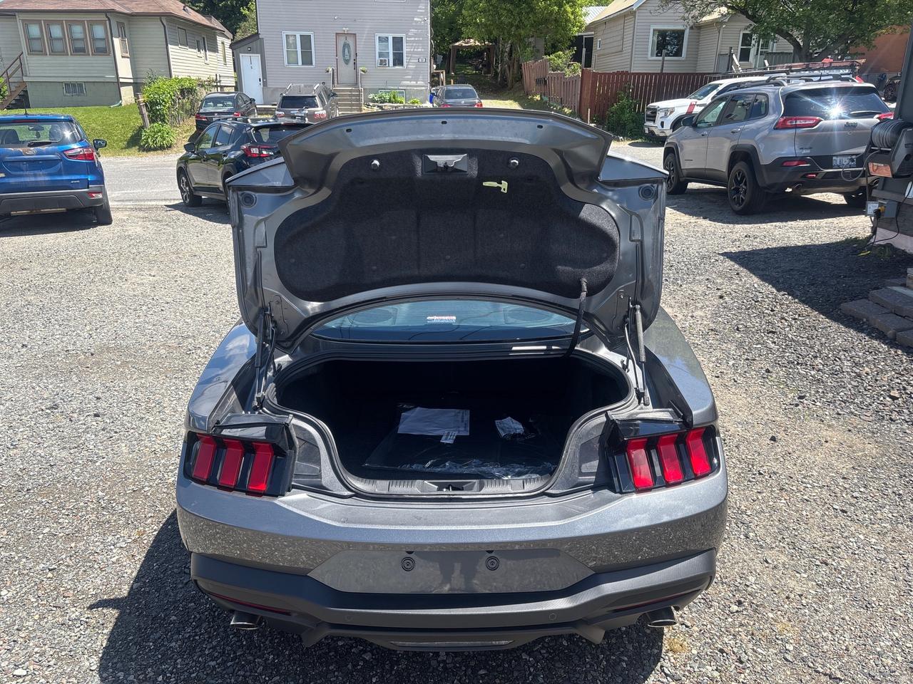2025 Ford Mustang EcoBoost Premium ECOBOOST PREMIUM Photo
