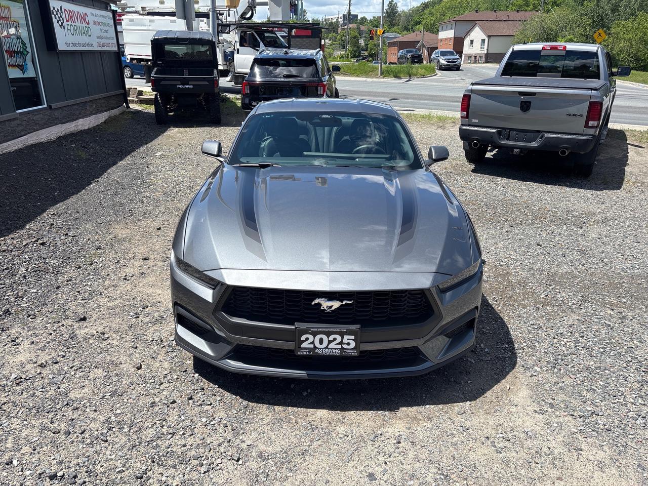 2025 Ford Mustang EcoBoost Premium ECOBOOST PREMIUM Photo
