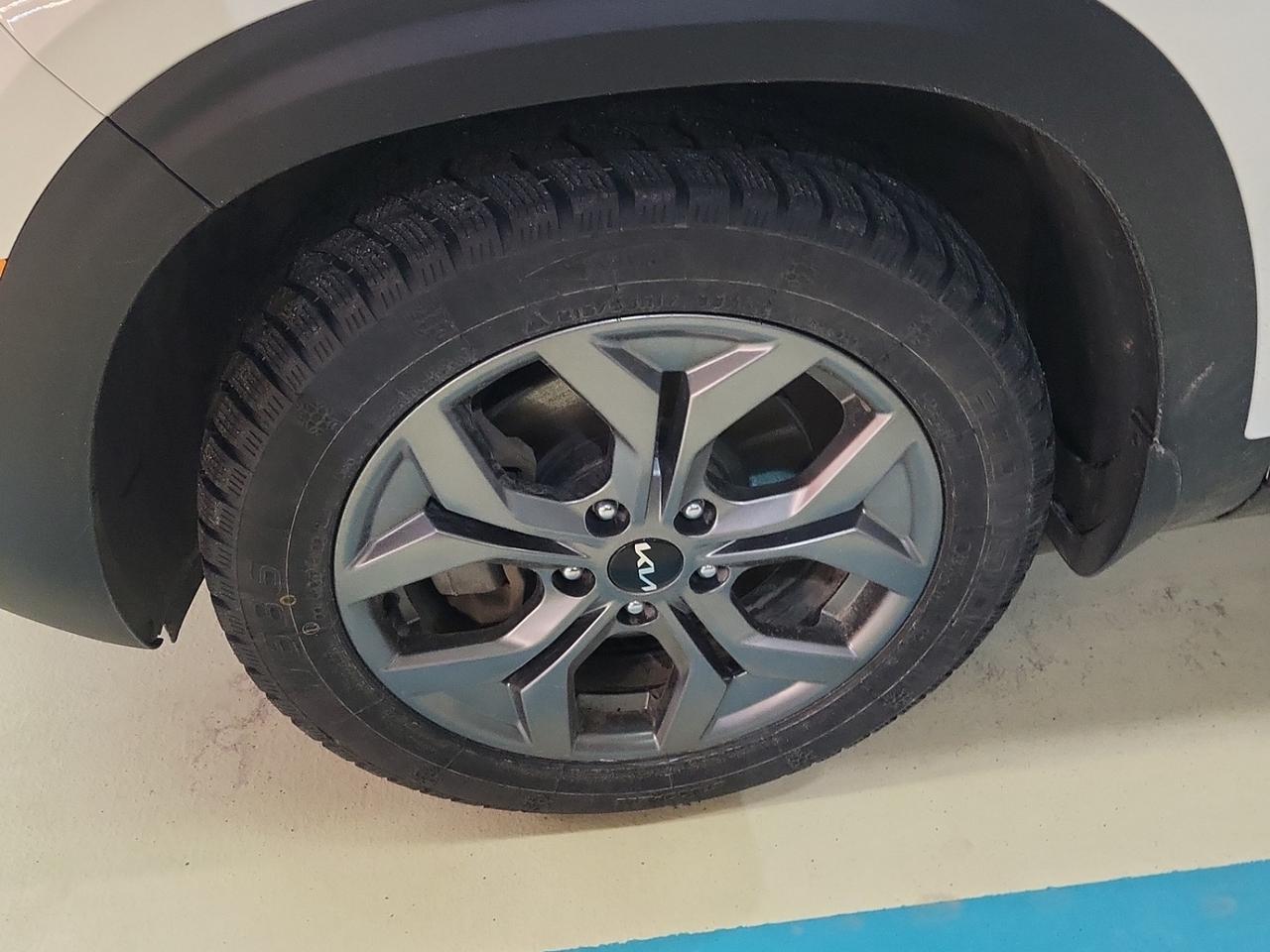 2024 Kia Seltos EX Photo